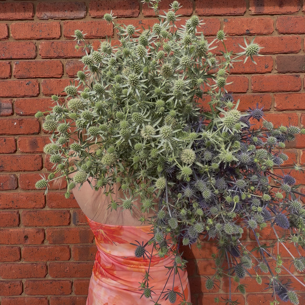 Blue & White Seaholly Mix