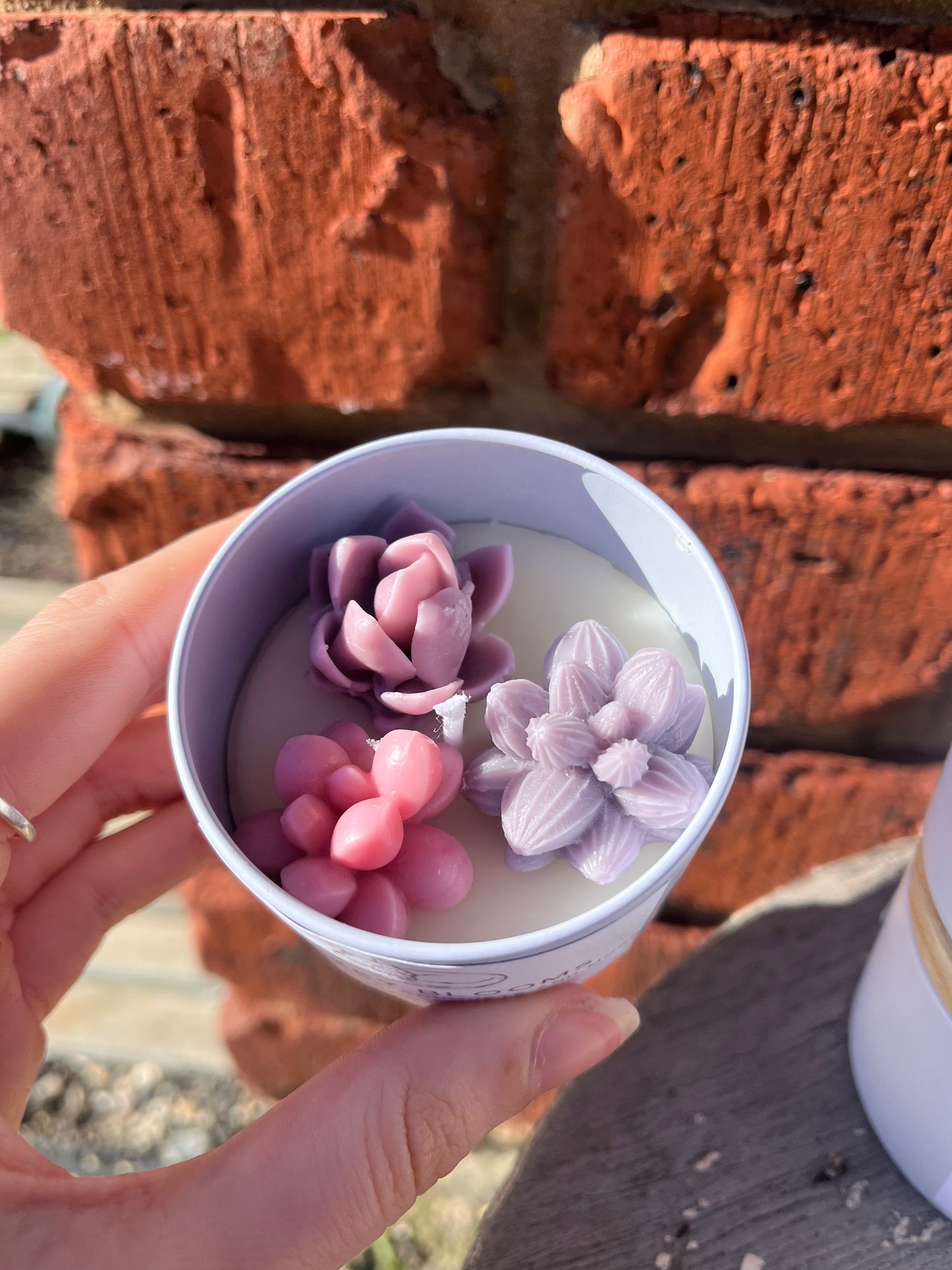 Succulent Candle