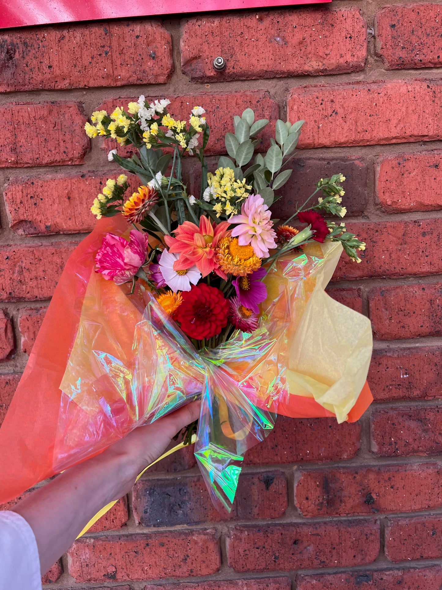Wrapped Seasonal Arrangement