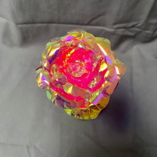 Pink Iridescent Forever Rose *Single Rose*